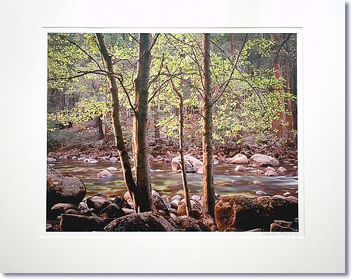 Trees and Rocks, Merced River, Yosemite / Charlie Cramer