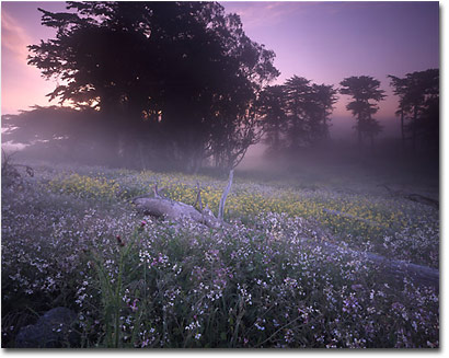 Landscape Photography Articles