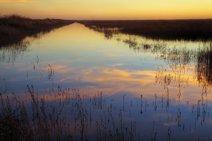 Cheyenne Bottoms sunset