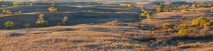 A nice Fall afternoon on the prairie