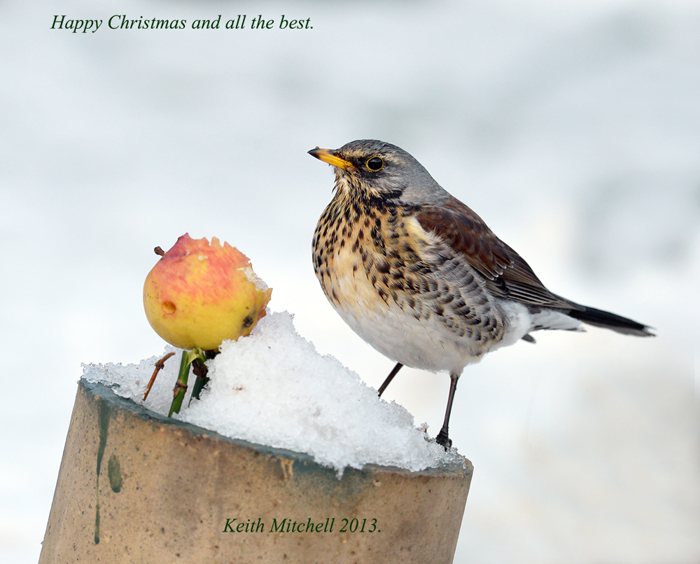 Happy Christmas.