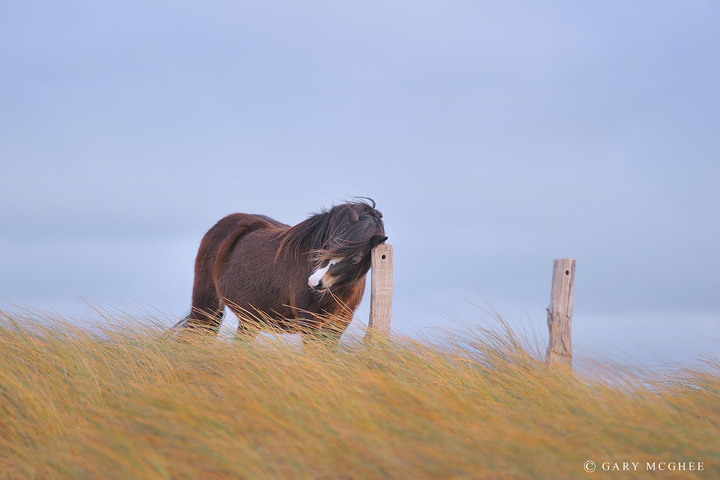 Having a Scratch