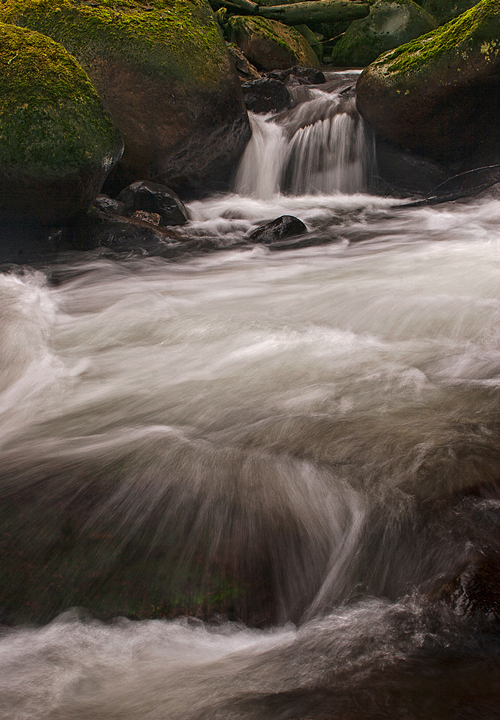 Carbon Flow