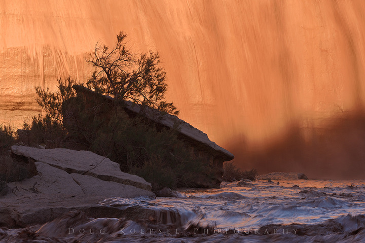 Grand Falls