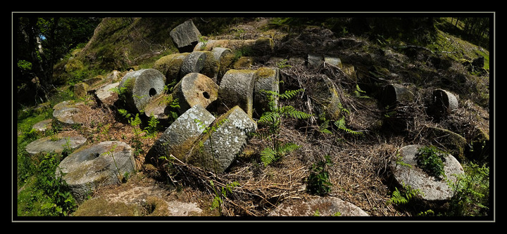Industrial Waste?