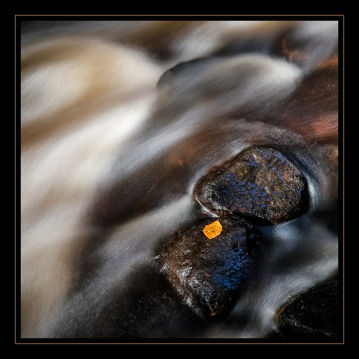 The last Fall