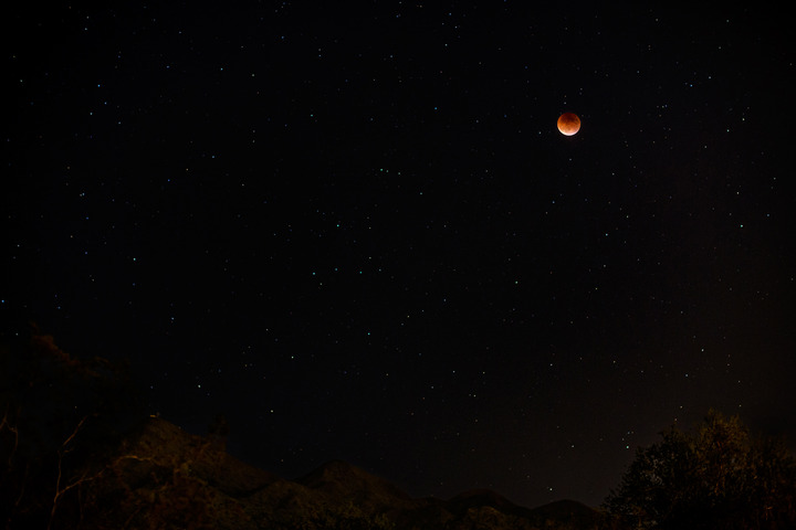 Ok, FINE, Here's the Obligatory Eclipse Shot...
