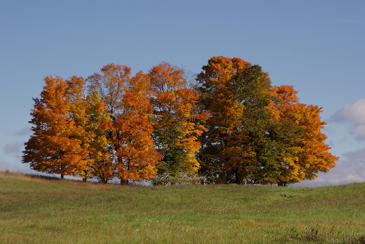 Hilltop colors