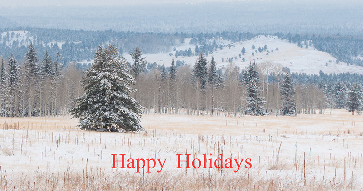 Happy Holidays