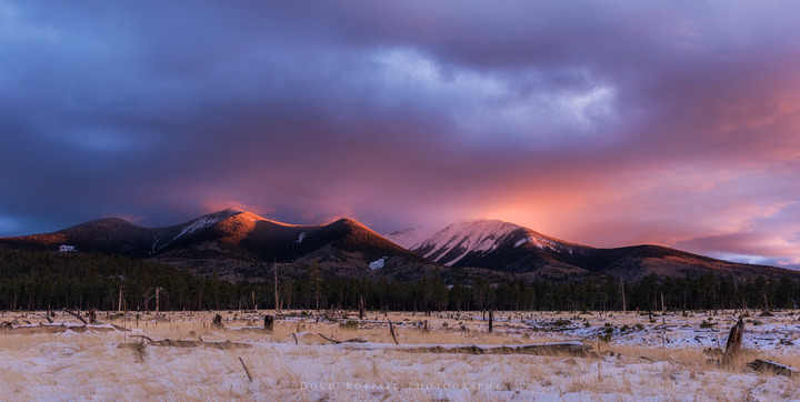 Winter's Last Call?