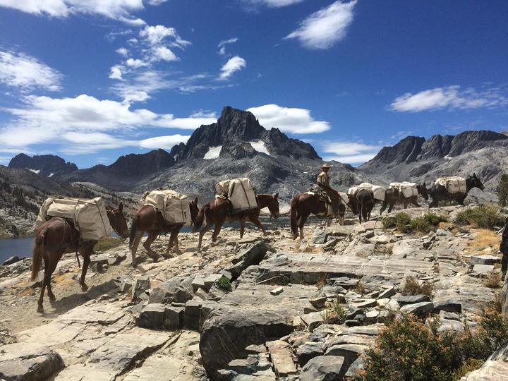 High Sierra on Horseback