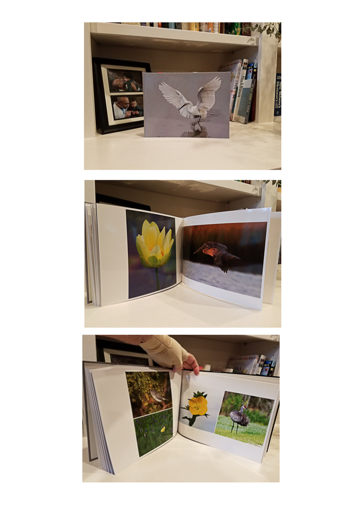 Photobooks for non-pros, non-printers, etc.