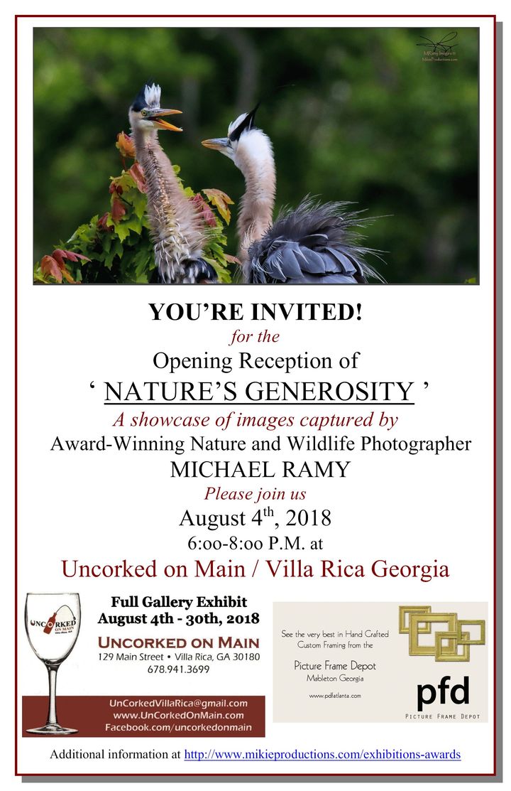Solo Gallery Exhibition