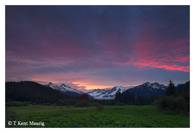 WC #336 - Solstice Dawn