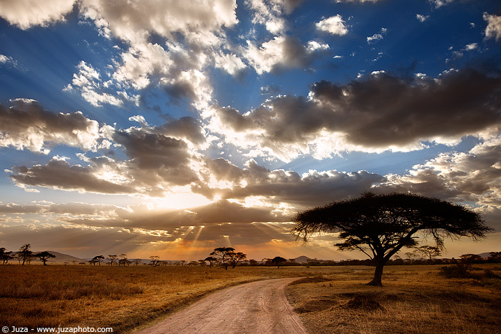 Sunset on Serengeti