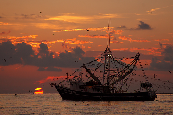 Louisiana's Economy