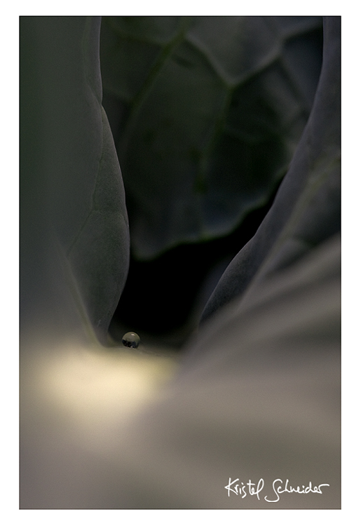 Drop