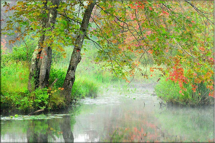 Autumn In August