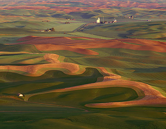 Palouse Farmlands