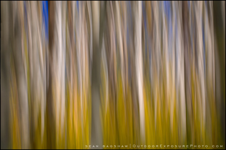 Aspen Impressions 2