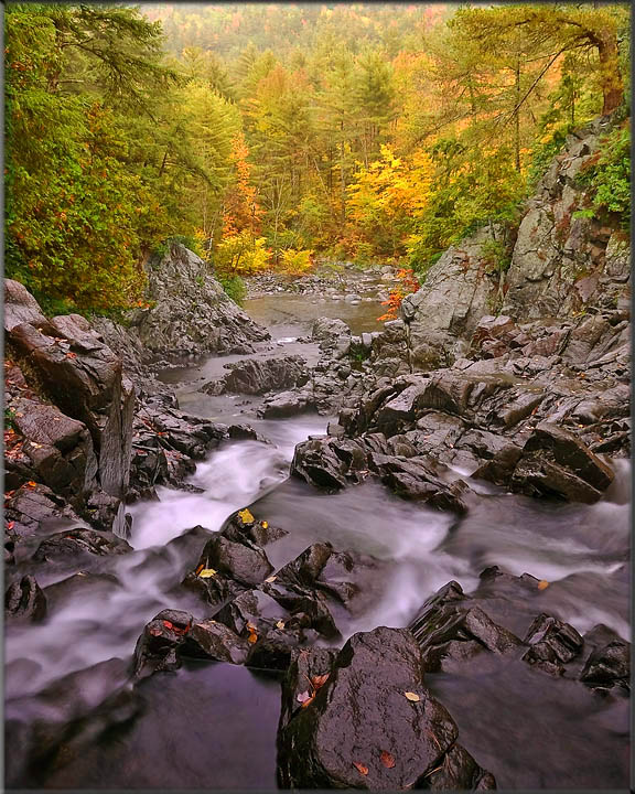 Photo of the Month 11/08