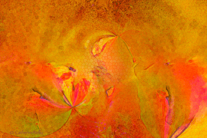 Swirl of Autumn Leaves