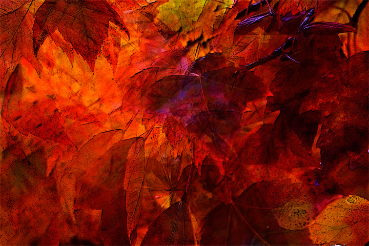 Leafy Patchwork
