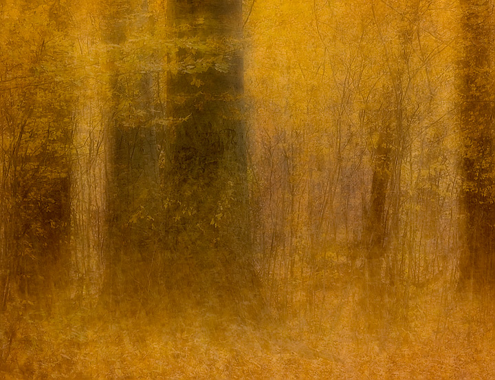 Autumn Gold