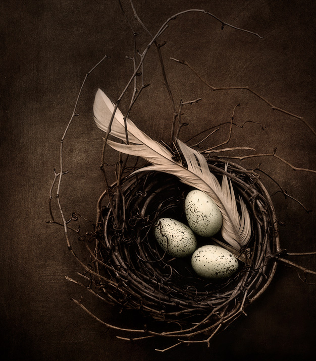 Rebirth