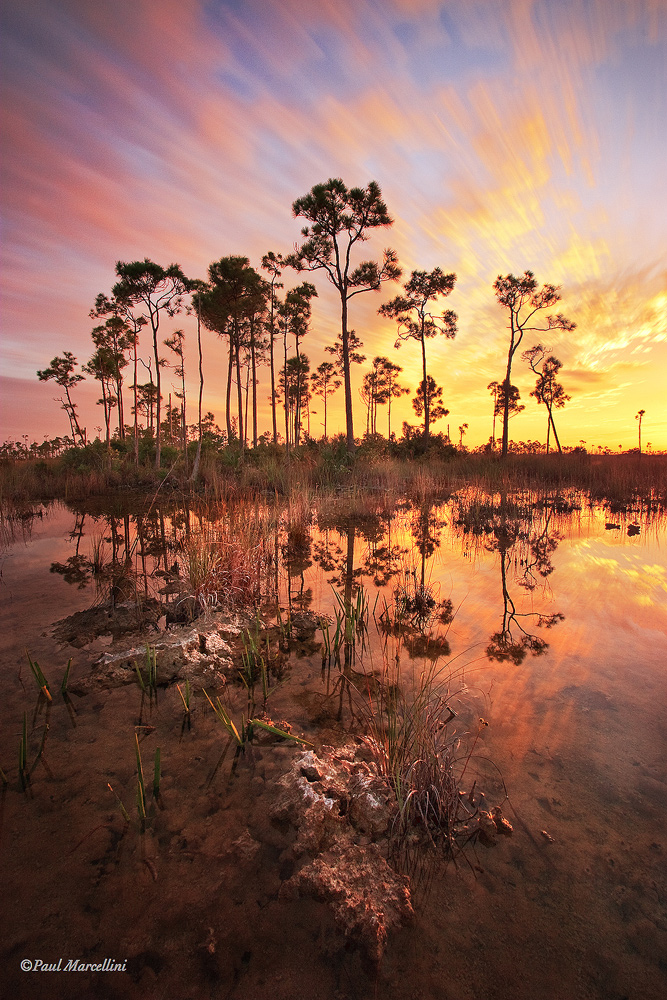 Wet Season