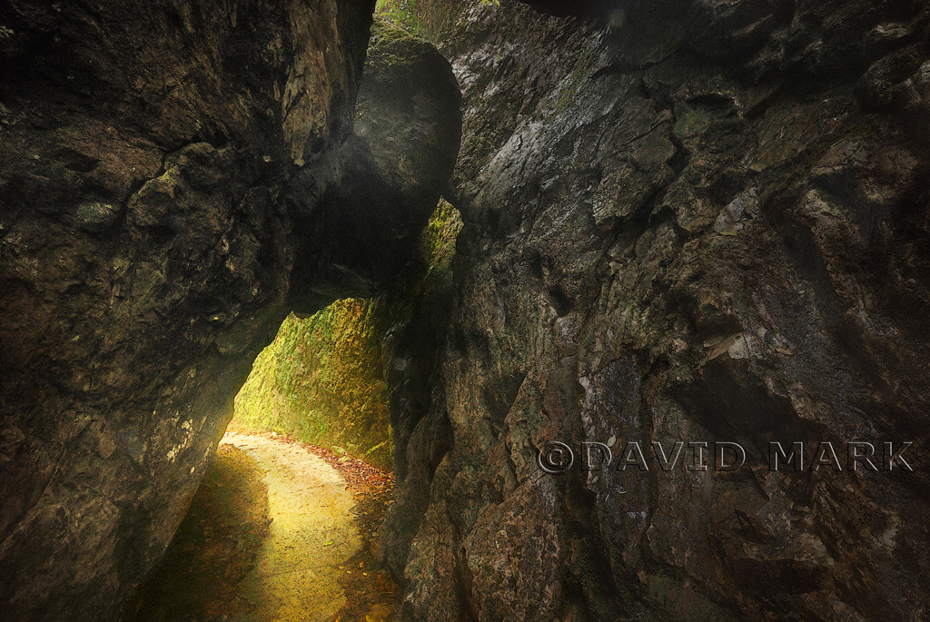Journey Awaits
