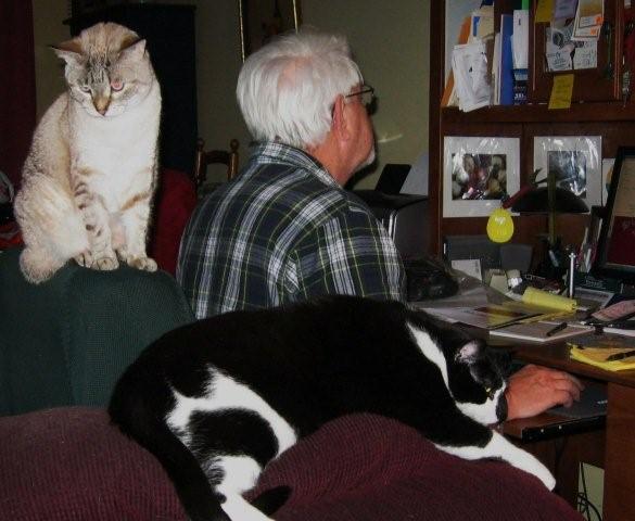 Larry Lynch