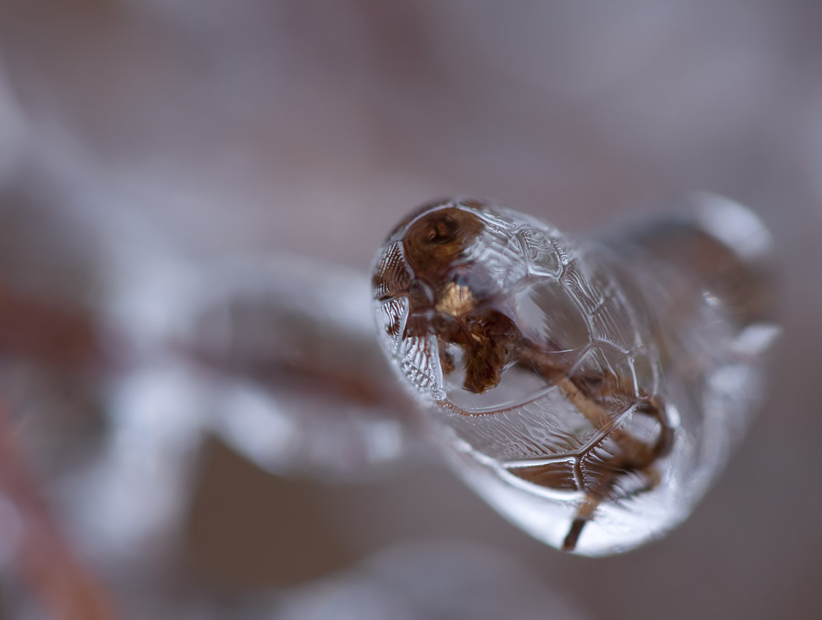 Frozen Blur