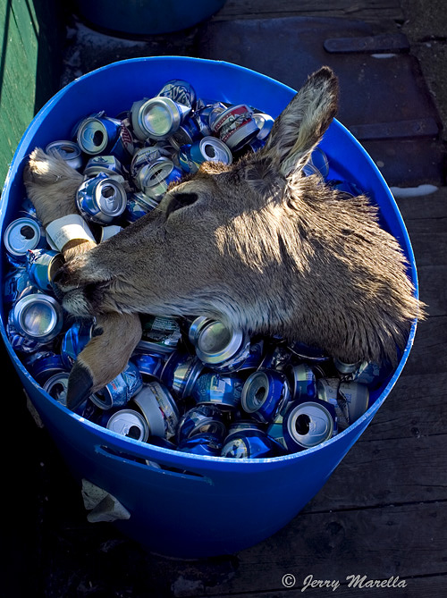Deercan recycling.