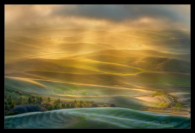 Morning Light, Palouse