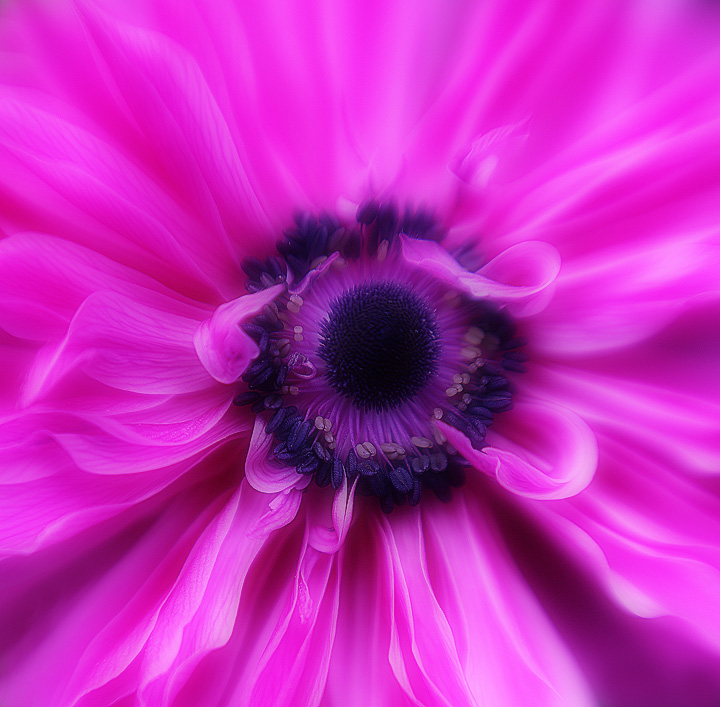  Lensbaby Newbie