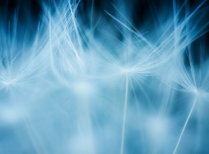 Blue Universe