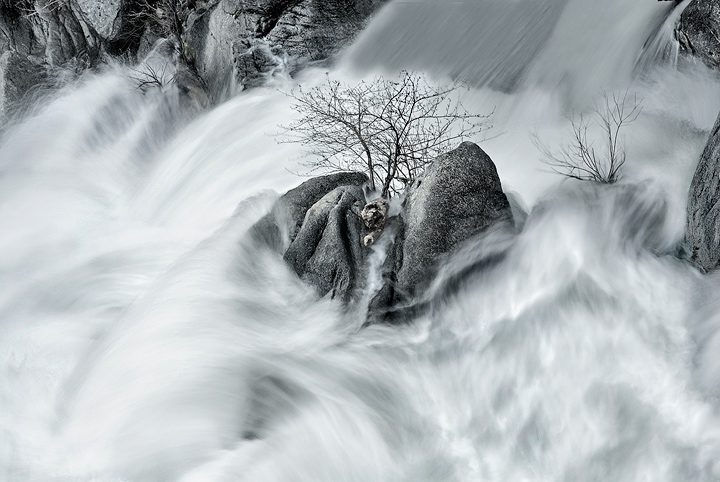 Enduring The Maelstrom