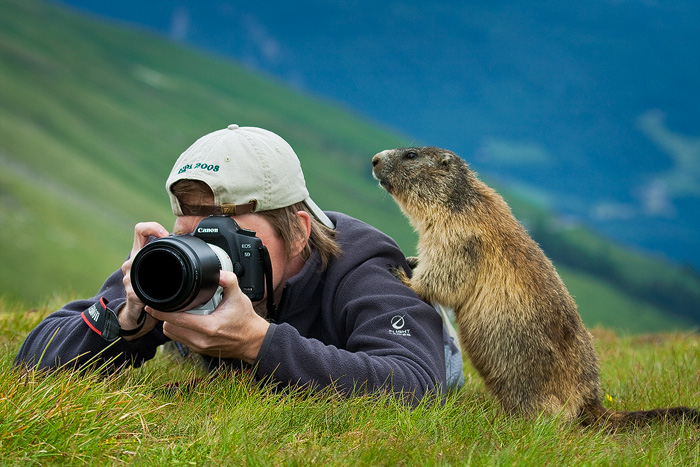 Me and the marmot