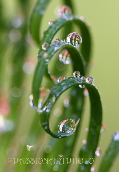 Drip Dry