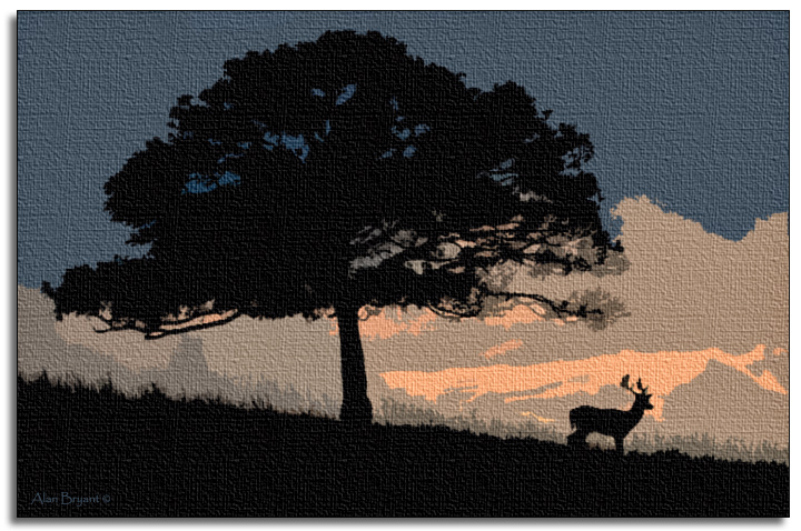 tranquil