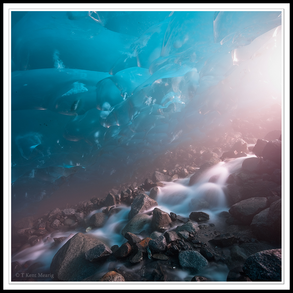 Photo of the Month 8/09