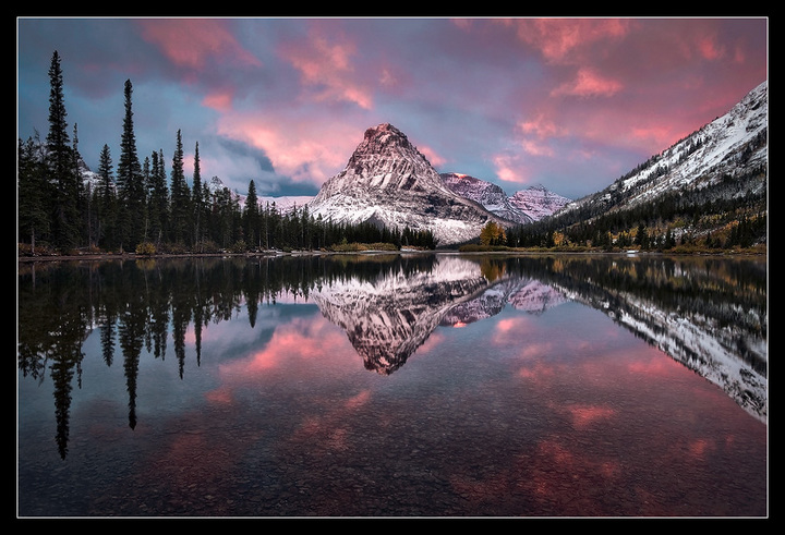 Bathed in Pink