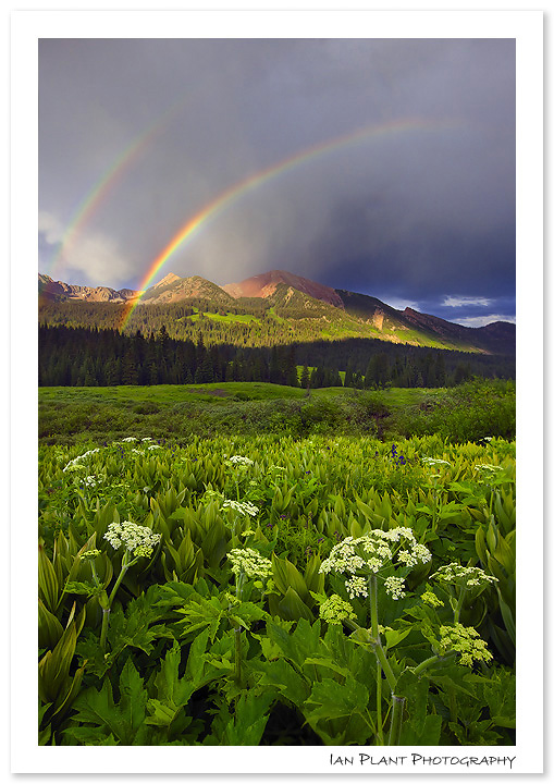 Gothic Rainbow