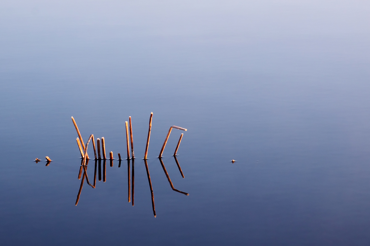 WC 392 - Calm waters