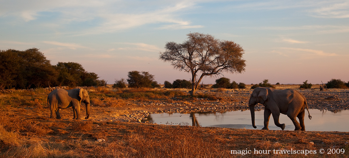 Meeting at the Waterhole