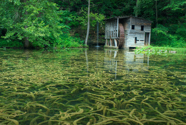 Falling Springs Mill