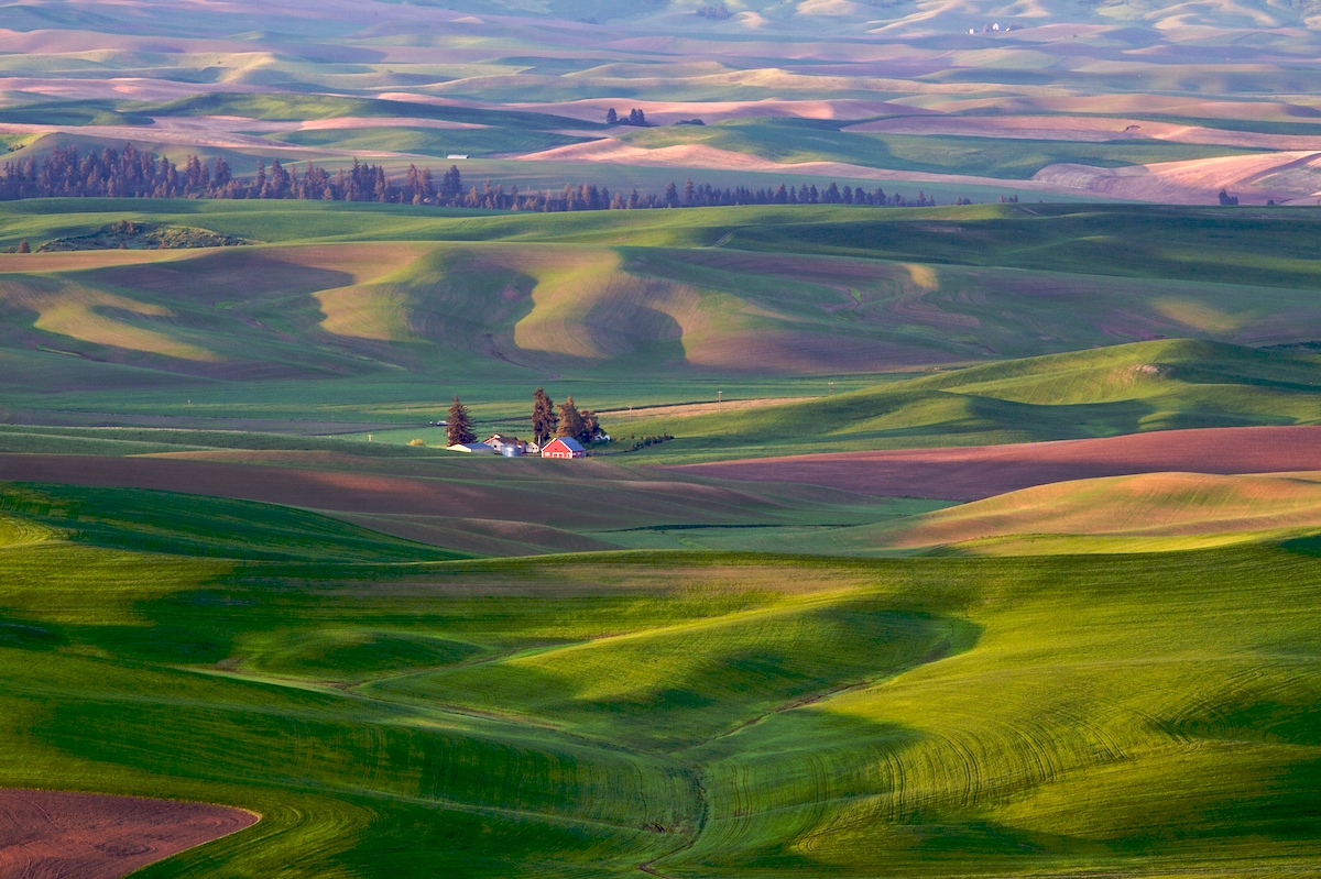 Palouse Dawn