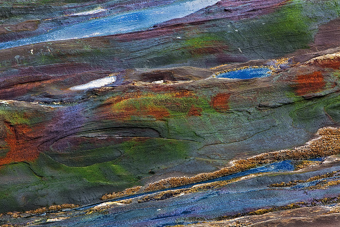 WC#393 Pemaquid Palette