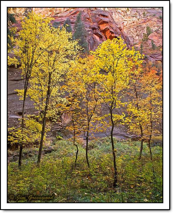 WC #396 - The Narrows